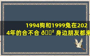 1994狗和1999兔在2024年的合不合 🌲 身边朋友都来这里测算！